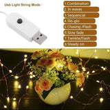 MSC 100 LED USB Powered 10M 8 Function Warm White Coloured String Fairy Light